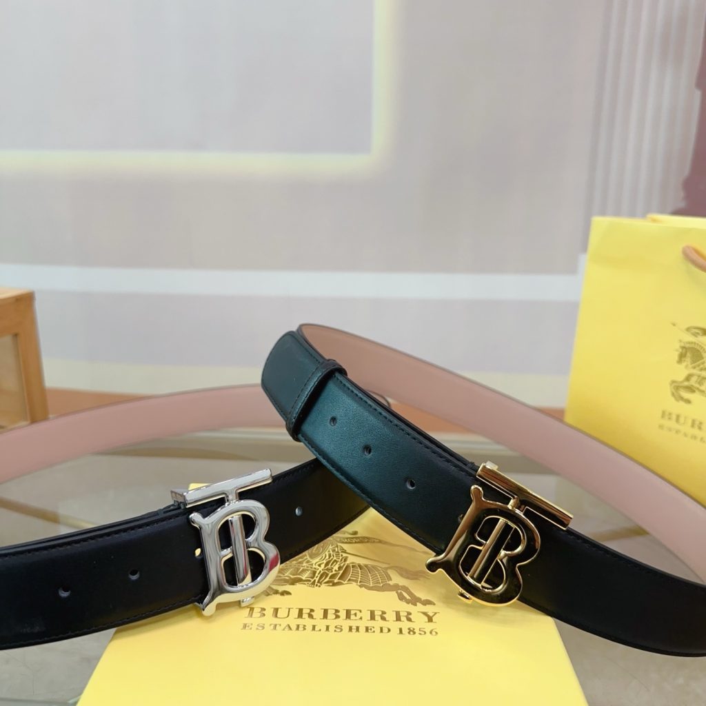 Burberry Bag Dupe 2239 - Imagen 2