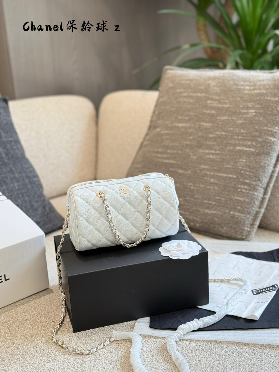 Chanel Bag Dupe 1120