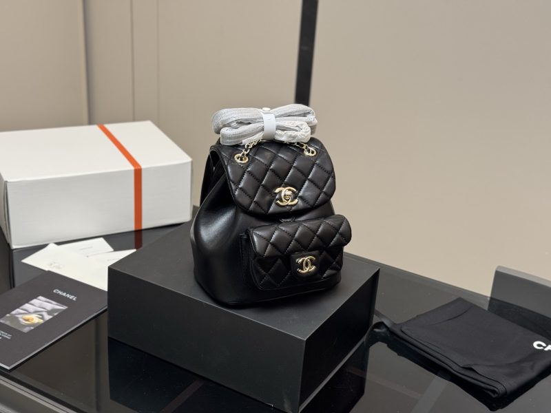 Chanel Bag Dupe 1537