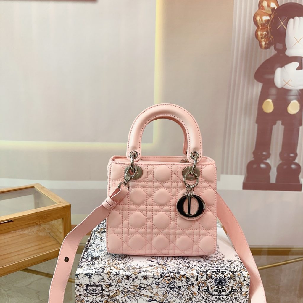 Dior Bag Dupe 1662
