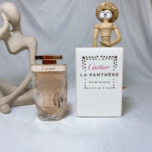 Dolce & Gabbana Fragrance Dupe 0494