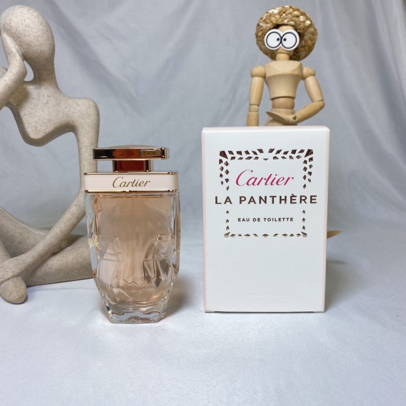 Dolce & Gabbana Fragrance Dupe 0494