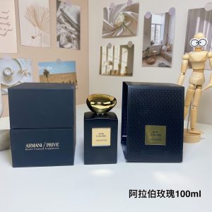 Giorgio Armani Fragrance Dupe 0663