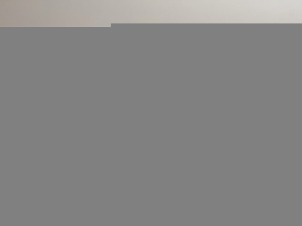 Louis Vuitton Bag Dupe 1528 - Bilde 2