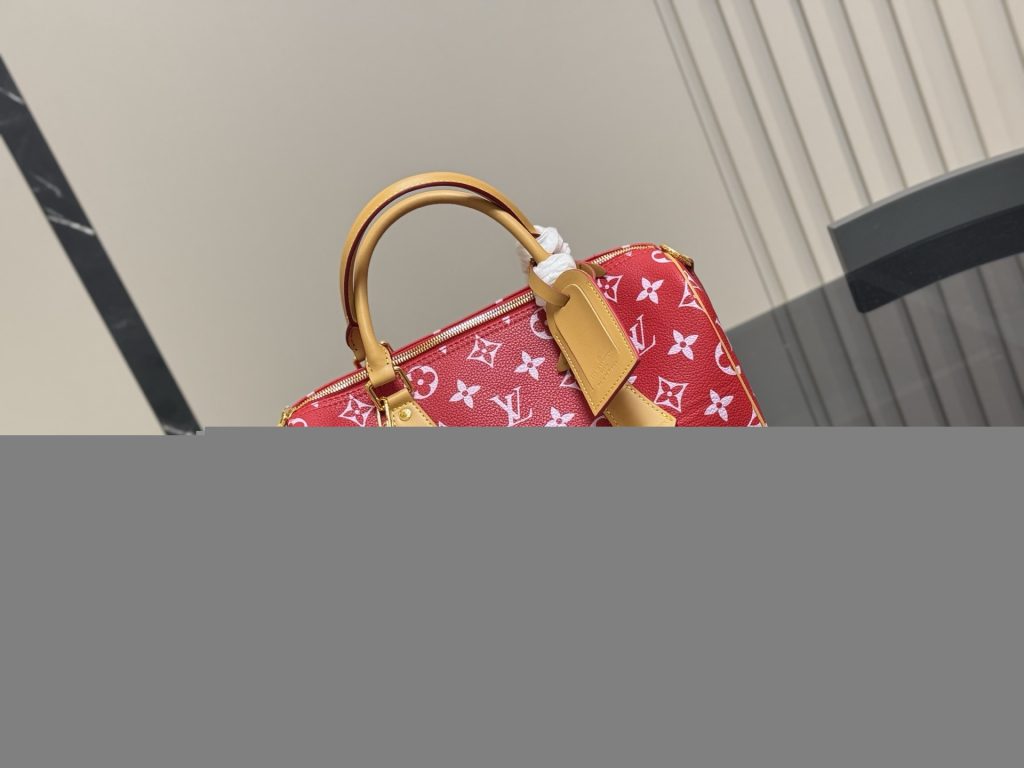 Louis Vuitton Bag Dupe 913 - Vaizdas 4